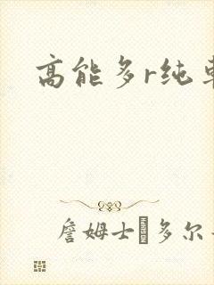 高能多r纯车