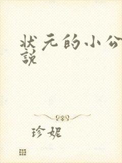 状元的小公主小说