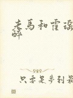 老马和霍瑶瑶喝醉