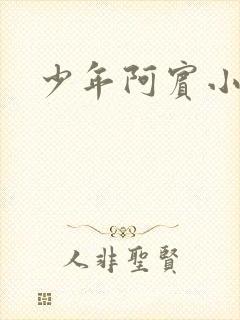 少年阿宾小说