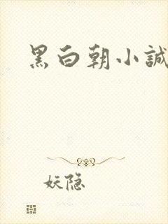 黑白朝小诚