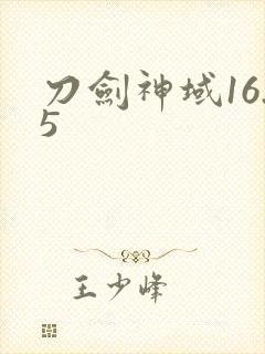 刀剑神域16.5