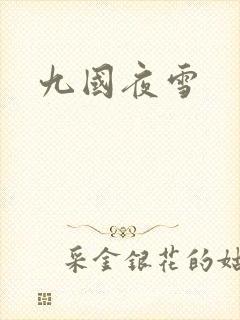九国夜雪