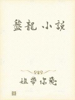 盘龙 小说