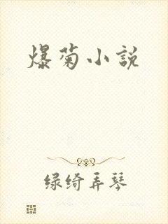爆菊小说