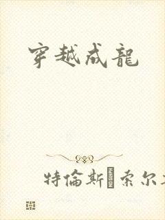 穿越成龙