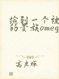 捡到一个被抹布的贵族omega