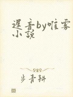 迟音by唯雾的小说