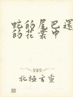 蛇的尾巴还在我的花丛中