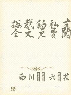 总裁的私有宝贝全文免费阅读