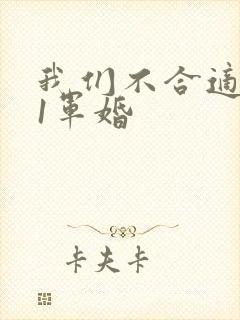 我们不合适1v1军婚