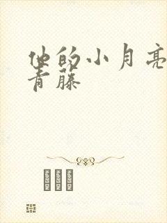 他的小月亮by青藤