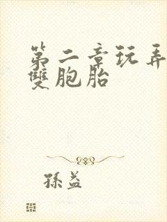 第二章玩弄少妇双胞胎