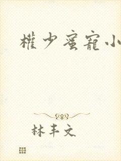 权少蜜宠小娇妻