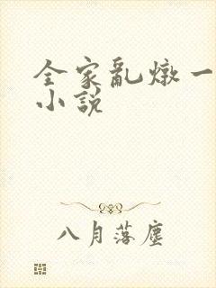 全家乱炖一锅烩小说