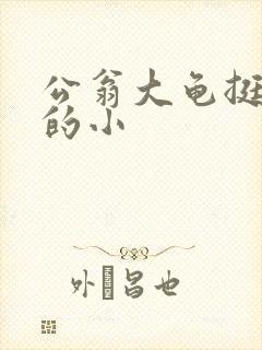 公翁大龟挺进我的小