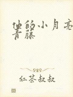 他的小月亮by青藤封面