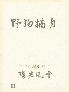 野狗摘月