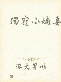 独宠小娇妻