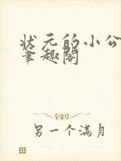 状元的小公主 笔趣阁