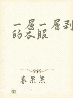 一层一层剥开你的衣服
