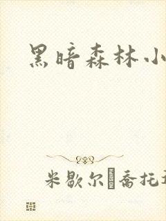 黑暗森林小说