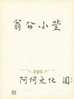 翁公小莹