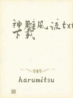 神雕风流txt下载