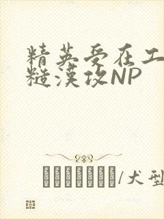 精英受在工地被糙汉攻NP
