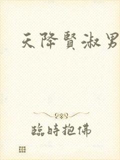 天降贤淑男小说