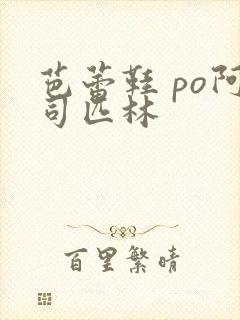 芭蕾鞋 po阿司匹林