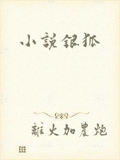小说银狐