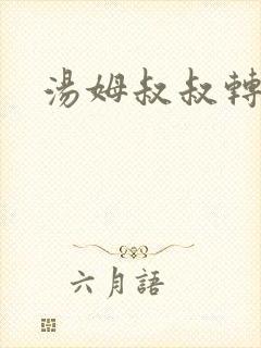 汤姆叔叔转接口