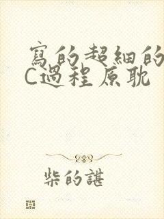 写的超细的多肉C过程原耽