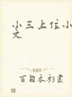 小三上位小说全文