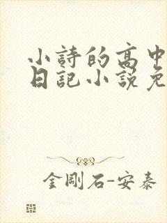 小诗的高中成长日记小说免费阅读
