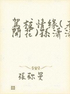 驾校情缘(老树开花)孙潇潇笔趣阁