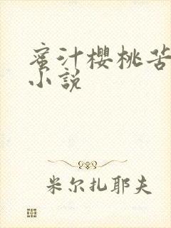 蜜汁樱桃苦咖啡小说