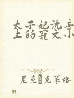 太子妃沈音和皇上的宠文小说