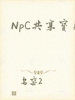 NpC共享宝贝