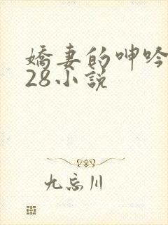 娇妻的呻吟1—28小说