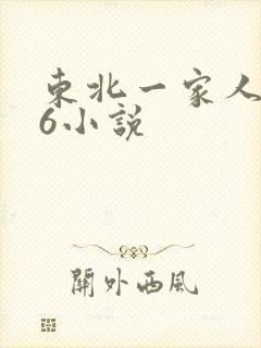 东北一家人1一6小说