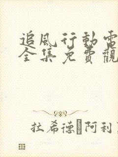 追风行动电视剧全集免费观看