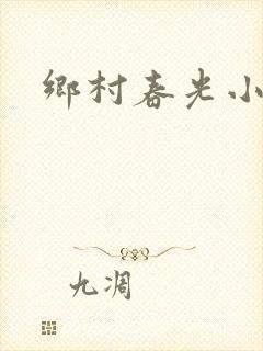 乡村春光小说