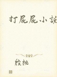 打屁屁小说