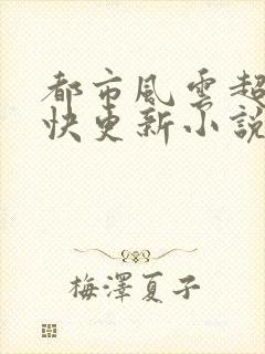 都市风云超前超快更新小说