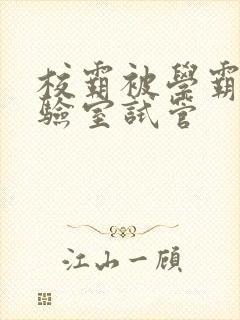 校霸被学霸压实验室试管