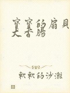 宝宝的扇贝想吃大香肠