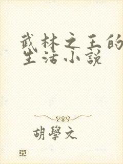 武林之王的退隐生活小说