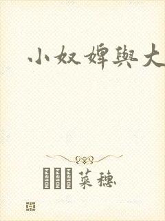 小奴婢与大少爷